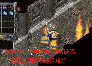 你见过传奇中的探测项链吗?它究竟有何隐藏功能? 你见过传奇中的探测项链吗?它究竟有何隐藏功能?