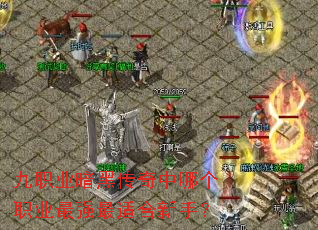九职业暗黑传奇中哪个职业最强最适合新手? 九职业暗黑传奇中哪个职业最强最适合新手?